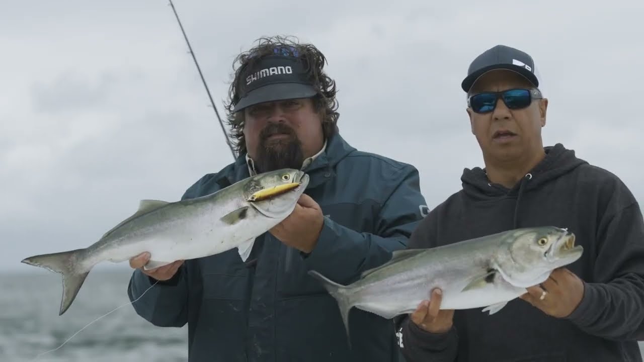 Raymarine New Products 2023