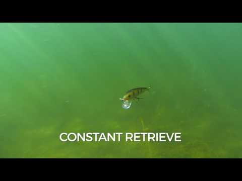 Swimming Action: Rapala CountDown