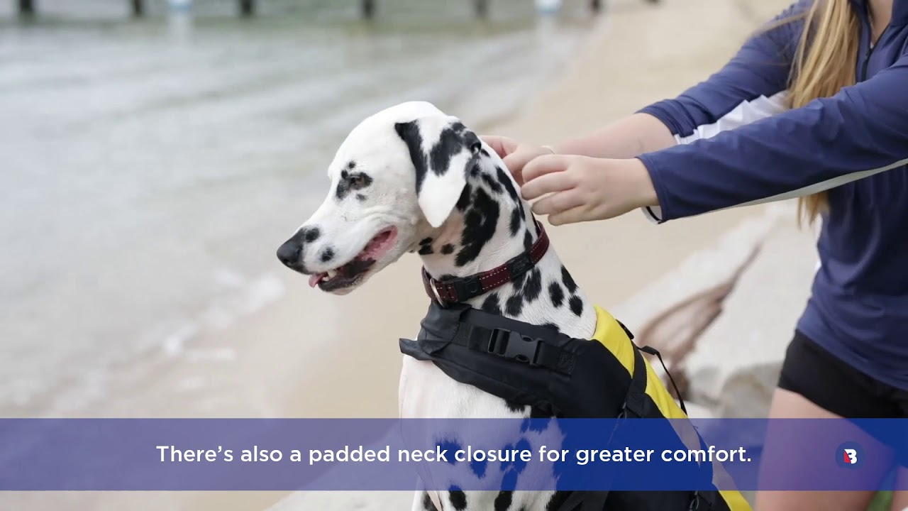 How To: Fasten Your Dog’s Lifejacket by Burke