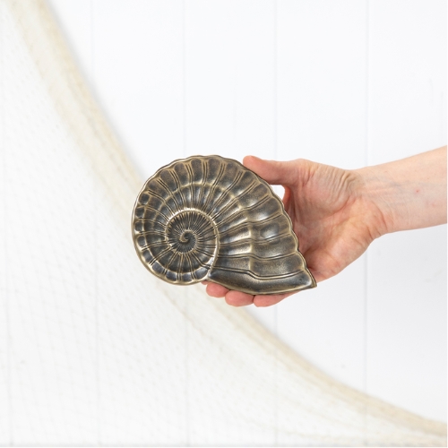 Nautilus Shell Dish