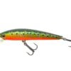 LURE HAWK SNIPER BROOK TROUT